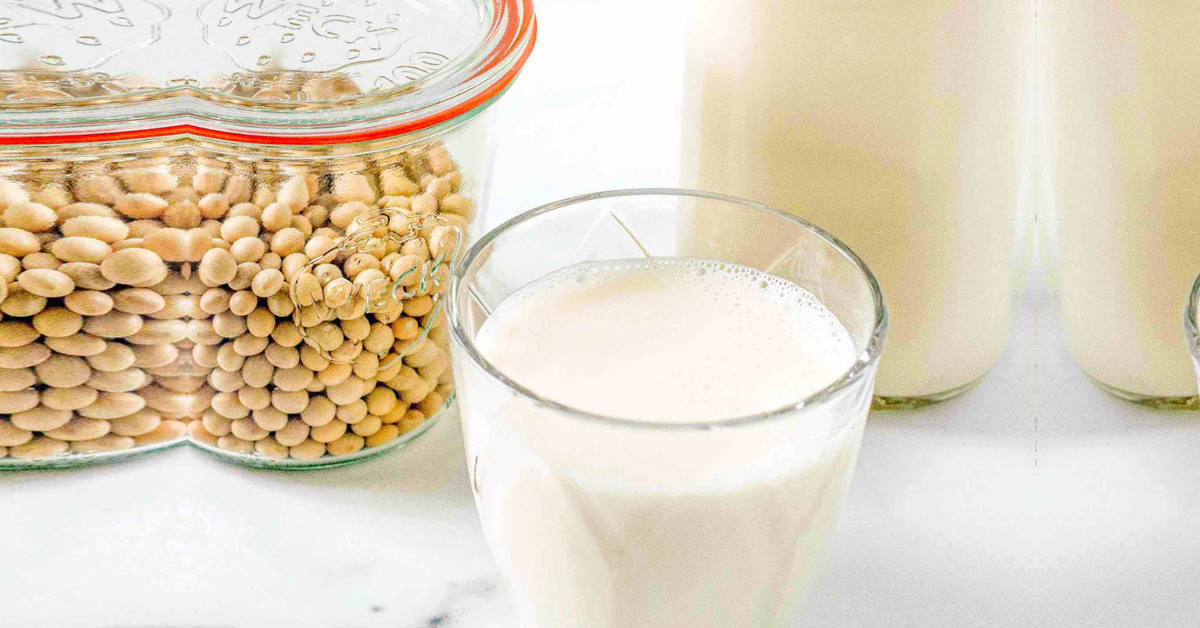 Photo inspiration: Can Cats Have Soy Milk With Basil Reference: Soy Milk